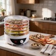 Esperanza EKD002 food dehydrator Black,Transparent,White 250 W