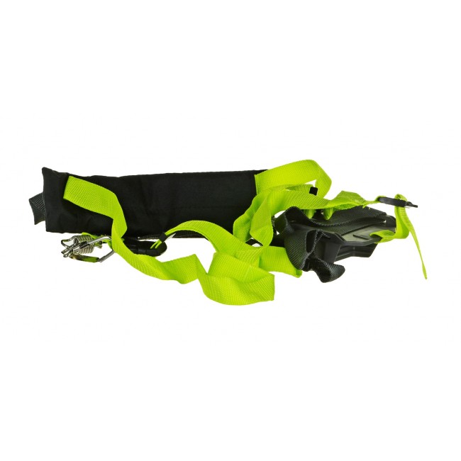 Electric Pole Saw 750W 25cm/oil accessories RYOBI