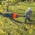 Cordless saw 18.0V, 2.0 Ah, Li-ion, pruning