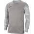Nike Dry Park IV JSY LS GK Men's Goalkeeper Sweatshirt Grey CJ6066 052 XL