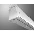 Avtek Business Electric Screen 300P