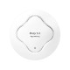 DrayTek VigorAP 912C Access Point
