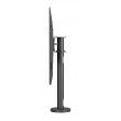 Neomounts DS42-430BL14 TV stand 32-55