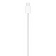 Apple MagSafe Charger (1 m) Apple MagSafe Charger (1 m)