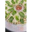 Eta SECCA Black, Transparent 380 W