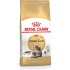 Royal Canin FBN Maine Coon Adult - dry food for adult cats - 4kg