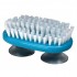 Hand and nail brush with suction cups
