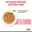 Royal Canin FHN Kitten Instinctive in jelly - wet food for kittens - 12x85g