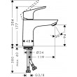 Hansgrohe Focus Chrome