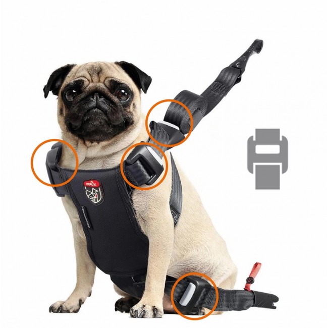 ZOLUX Travel Safe S red - dog harness