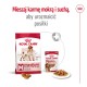 ROYAL CANIN Adult Medium - dry dog food - 4kg