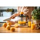 ADLER AD 4012 CITRUS SQUEEZER ADLER AD 4012 CITRUS SQUEEZER