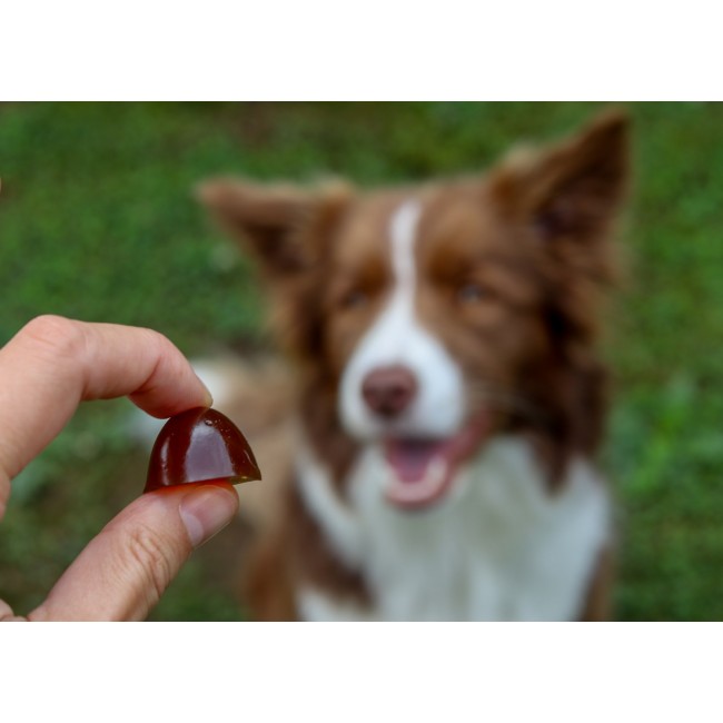 GELOREN Large dog Joints - dog vitamins - 420g GELOREN Large dog Joints - dog vitamins - 420g