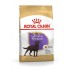 ROYAL CANIN Labrador Retriever Sterilised Adult - dry dog food - 12kg