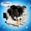 PURINA Dentalife Extra Mini - Dental snack for dogs - 69 g PURINA Dentalife Extra Mini - Dental snack for dogs - 69 g
