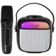 Adler AD 1199 black Karaoke speaker with microphone - SD/USB/AUX/Bluetooth