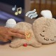 Fisher-Price Soothe & Settle Bunny Plush Baby Toy & Customizable Sound Machine with Motion Fisher-Price Soothe & Settle Bunny Plush Baby Toy & Customizable Sound Machine with Motion