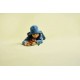 LEGO JURASSIC WORLD 76970 Baby Dinosaur Dolores Aquilops LEGO JURASSIC WORLD 76970 Baby Dinosaur Dolores Aquilops