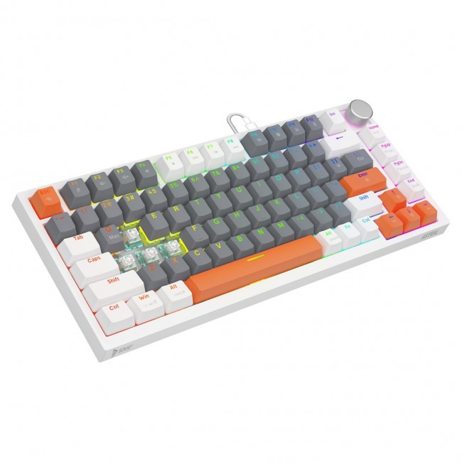 Savio ASTRAL WHITE JADE 3 COLOURS keyboard Gaming USB QWERTY US International Savio ASTRAL WHITE JADE 3 COLOURS keyboard Gaming USB QWERTY US International