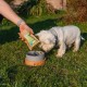 ANIMAL ISLAND Adult Medium Salmon - dry dog food - 12kg