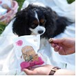 PAKA ZWIERZAKA Lio Pepe Beef tripe Mono - treat for dogs and cats - 60g