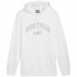 Puma Ess+ Logo LAB Gradient Hoodie FL white 681775 02 M