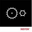Xerox Paper Feed Roller kit (Long-Life Item, Typically Not Required) Xerox Paper Feed Roller kit (Long-Life Item, Typically Not Required)