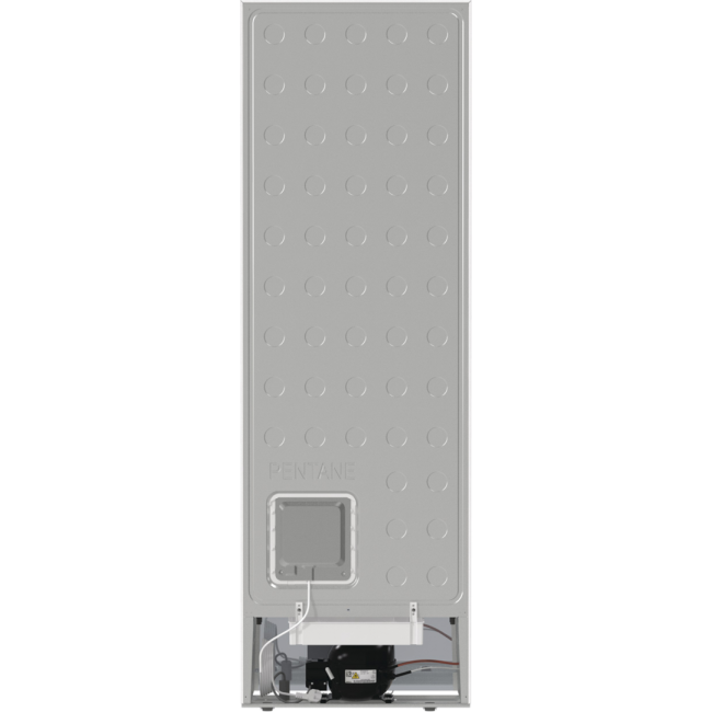 GORENJE FN619EAW6 FREEZER