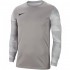 Nike Dry Park IV JSY LS GK JUNIOR Goalkeeper Sweatshirt Grey CJ6072 052 S