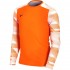 Nike Dry Park IV JSY LS GK JUNIOR Goalkeeper Sweatshirt orange CJ6072 819 S