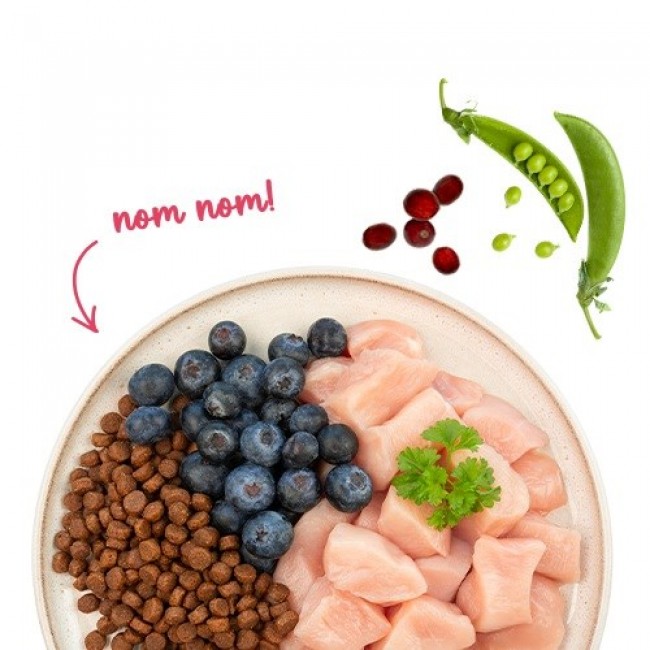 BOSCH Sanabelle Adult Chicken & Blueberries - dry cat food - 2kg