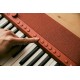 Casio CT-S1 Digital synthesizer 61 Red