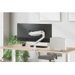 Neomounts NSLS300SILVER Laptop holder 11-17