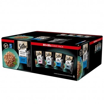 SHEBA Delicacy Fishy Flavours in jelly - wet cat food - 80x 85g