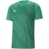 Puma teamULTIMATE Men's T-Shirt green 705371 05 M