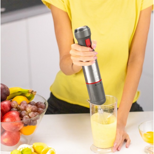 Zelmer ZHB4650 VARIO 0.7 L Immersion blender 1400 W Metallic, Red Zelmer ZHB4650 VARIO 0.7 L Immersion blender 1400 W Metallic, Red