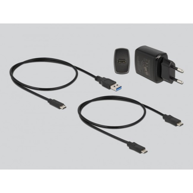 DeLOCK M.2 Docking Station for 2 x M.2 SATA SSD with Clone function