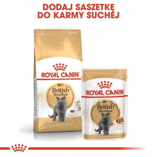 ROYAL CANIN British Shorthair - dry cat food - 2 kg ROYAL CANIN British Shorthair - dry cat food - 2 kg