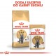 ROYAL CANIN British Shorthair - dry cat food - 2 kg ROYAL CANIN British Shorthair - dry cat food - 2 kg