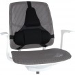 Fellowes Ergonomics professional back support pillow Fellowes Ergonomics professional back support pillow