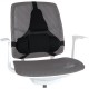 Fellowes Ergonomics professional back support pillow Fellowes Ergonomics professional back support pillow