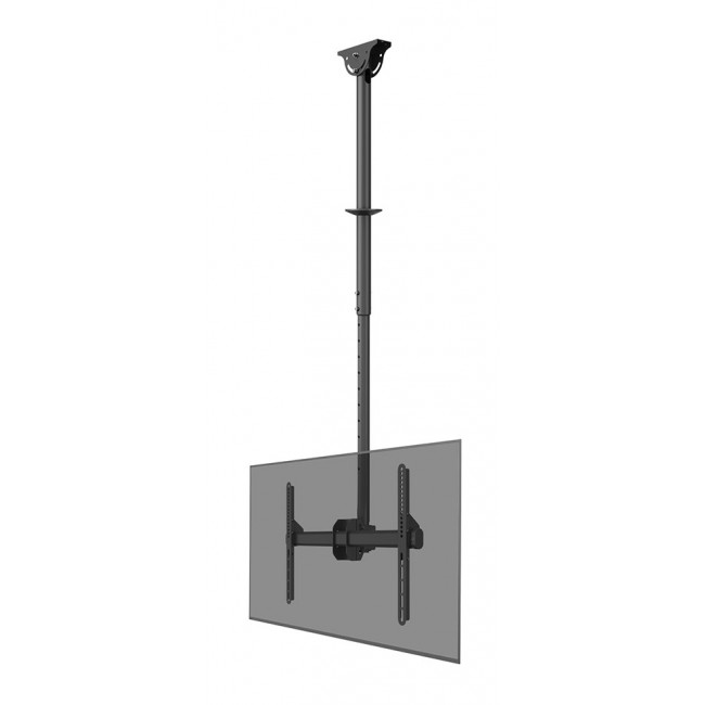 Neomounts CL35-440BL16L Monitor/TV mount ceiling 37-70