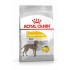 ROYAL CANIN CCN Dermacomfort Maxi - Dry dog food 12 kg