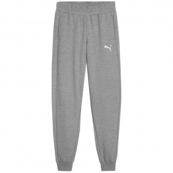 Puma Team Goal Kids' Pants Grey 658601 33 152cm