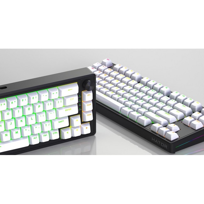 HATOR Skyfall 80 MAG ULTRA 8K keyboard Gaming USB QWERTY US English Black, White HATOR Skyfall 80 MAG ULTRA 8K keyboard Gaming USB QWERTY US English Black, White