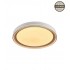 Ceiling lamp LED B2361-1M-R 39CM 30W DIM
