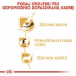 Dog Food Royal Canin SHN Breed Cavalier K C 1.5 kg