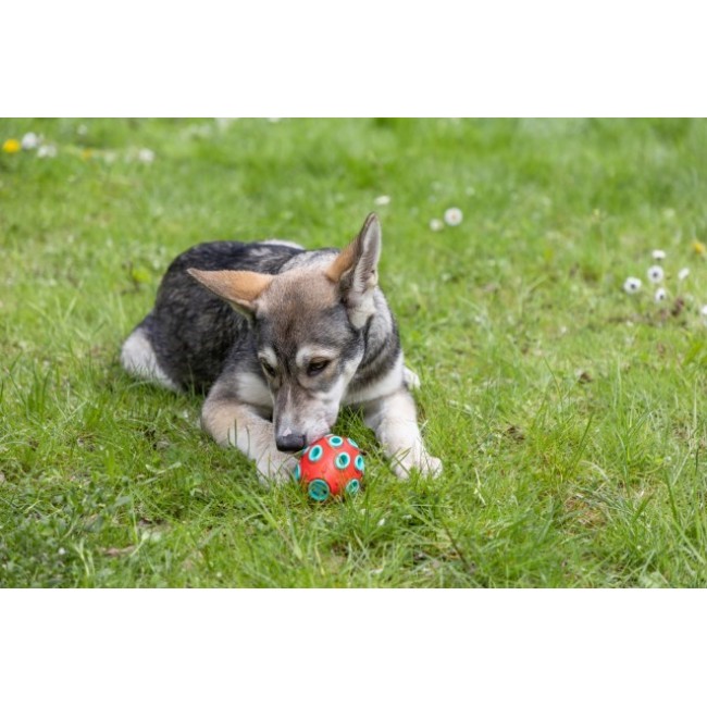 KERBL Rugby ToyFastic - Dog toy - 12cm