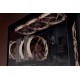 Noctua NF-A12X25 G2 LS-PWM computer cooling system Computer case Fan 12 cm Beige 1 pc(s)