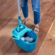 Leifheit 55510 mop Steel Microfibre Green Leifheit 55510 mop Steel Microfibre Green
